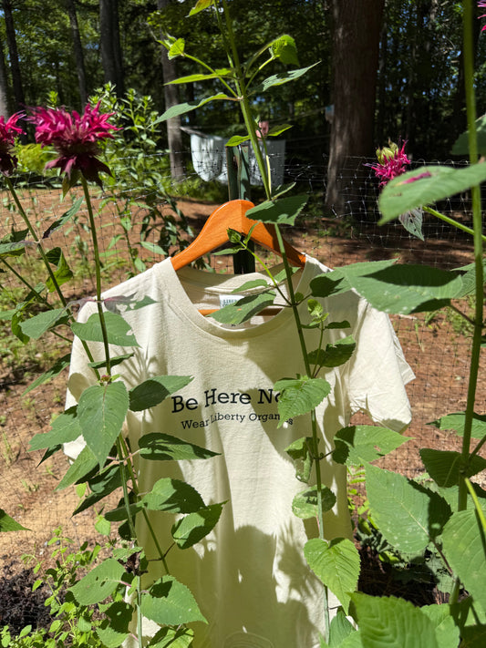 Why Choose American Grown Organic Cotton?