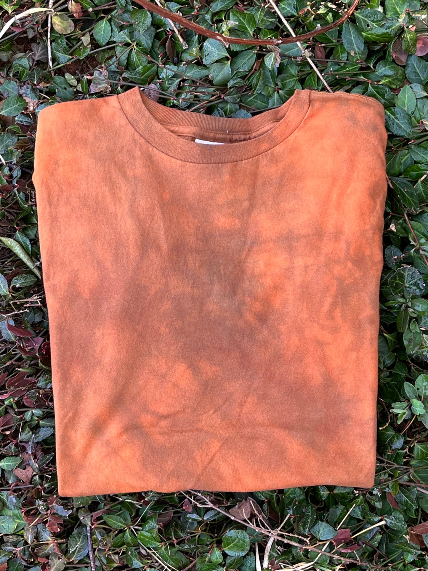Fire Flower Organic Cotton T-Shirt