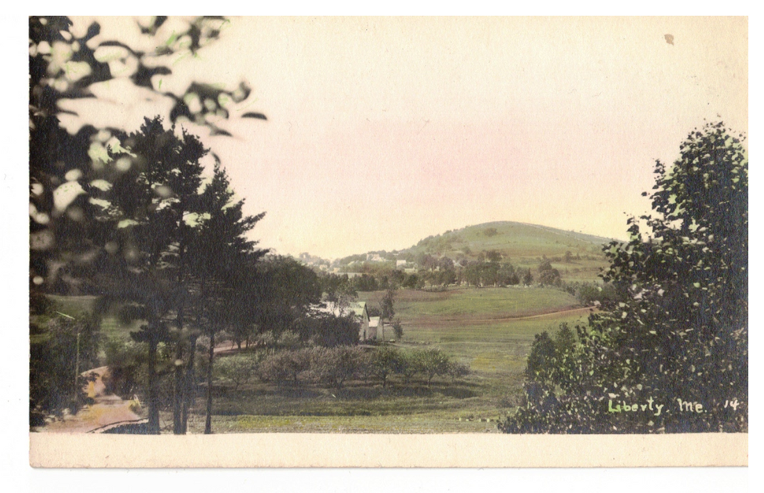 How it all started, the beginnings of Liberty Organics