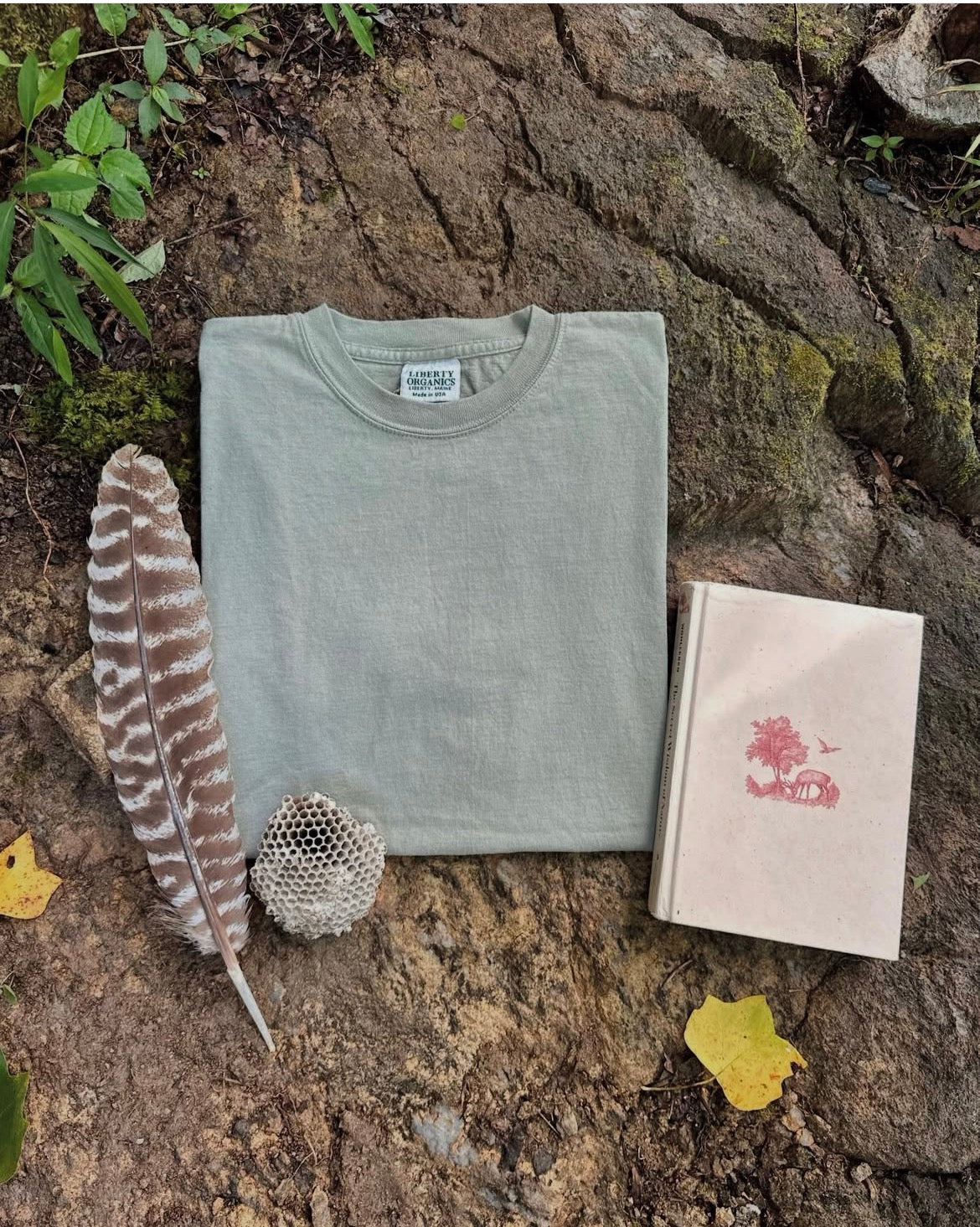 Lichen Organic Cotton T-shirt