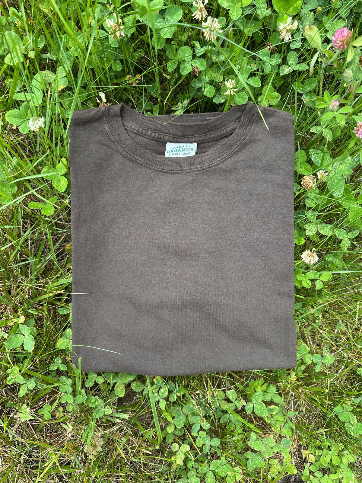 Walnut Organic Cotton T-shirt
