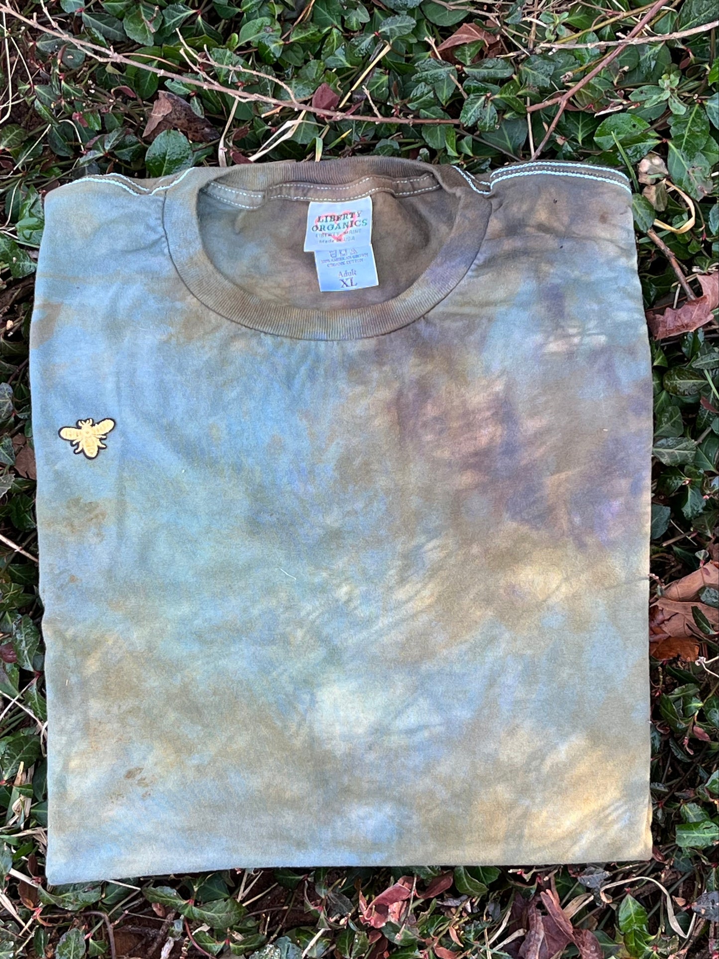 XL Swamp Sky Organic Cotton T-Shirt
