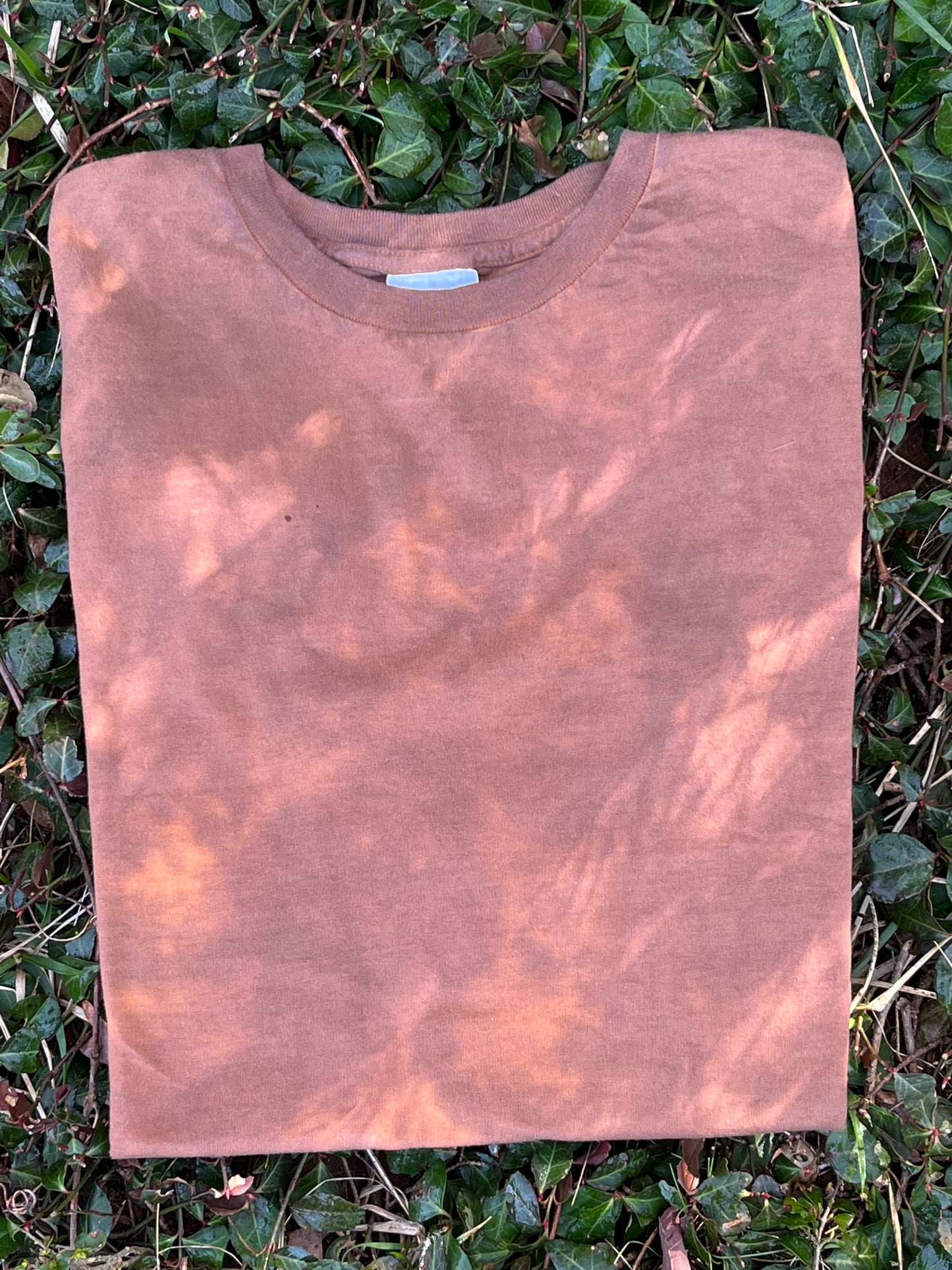 Soft Sunset Organic Cotton T-Shirt Medium